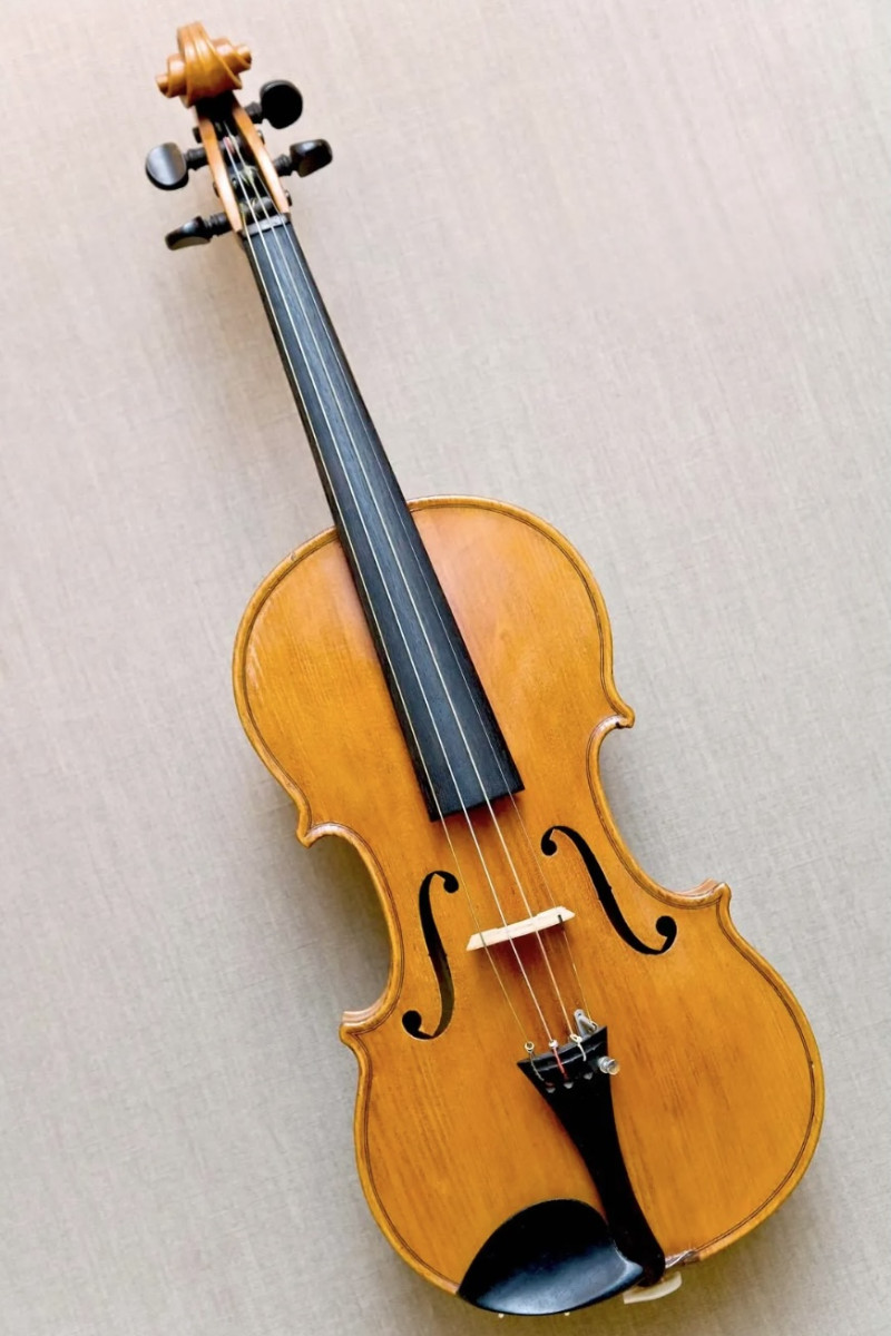 The History and Future of the Violin