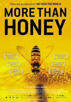 'More Than Honey'