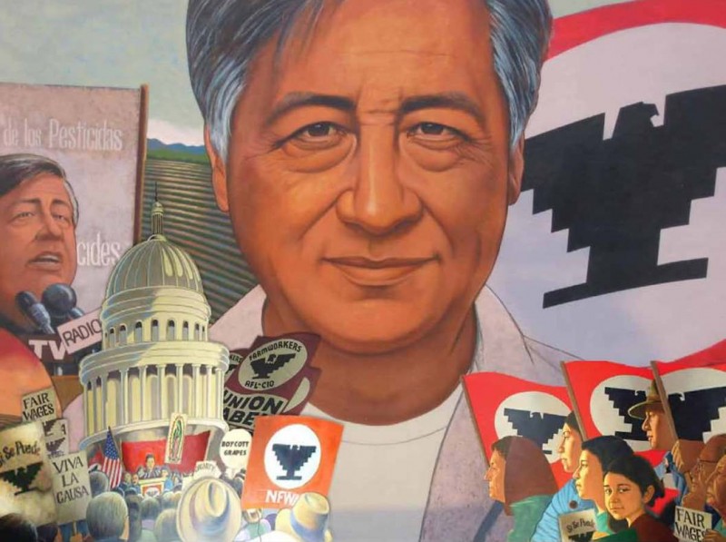 California's Hispanic Heritage: César Chávez & the Grape Boycott