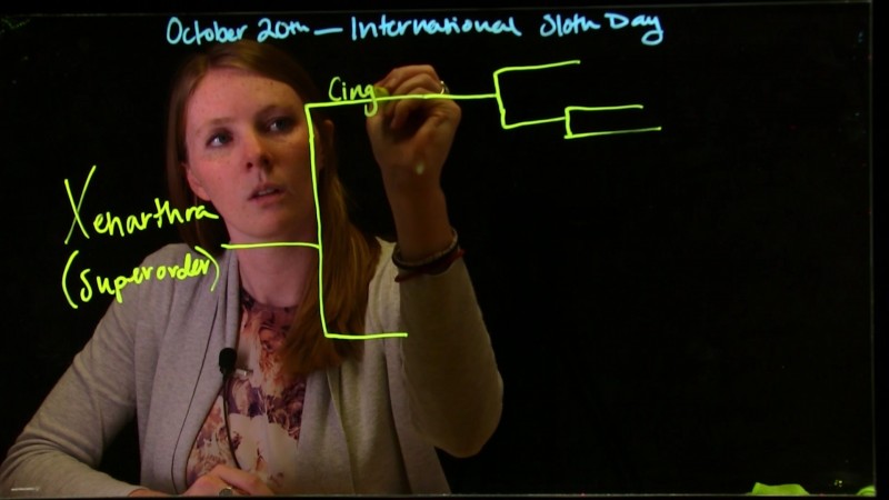 Light Up Your Lectures: The LightBoard