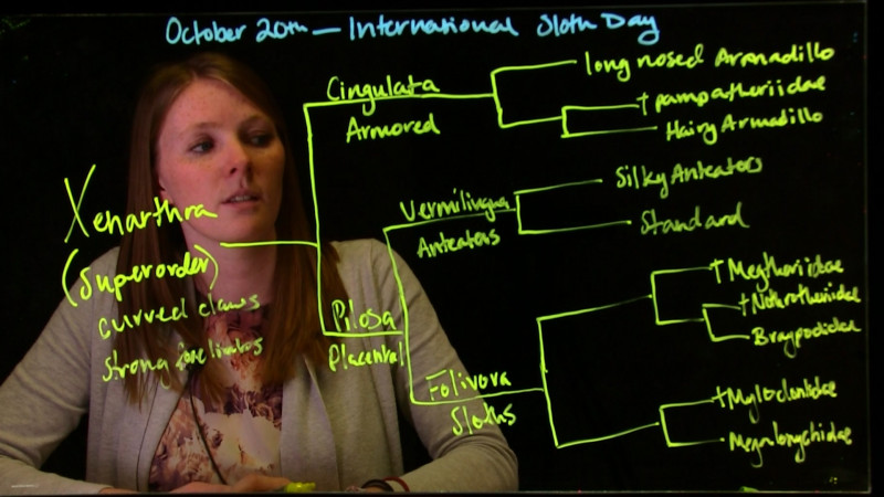 Video Recording: Light it up with the Lightboard