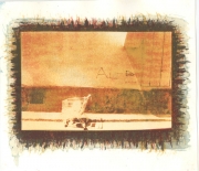 'Foreign Film' - Exhibition of Cyanotypes