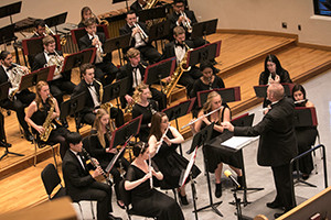 Wind Ensemble and String Symphony Concert