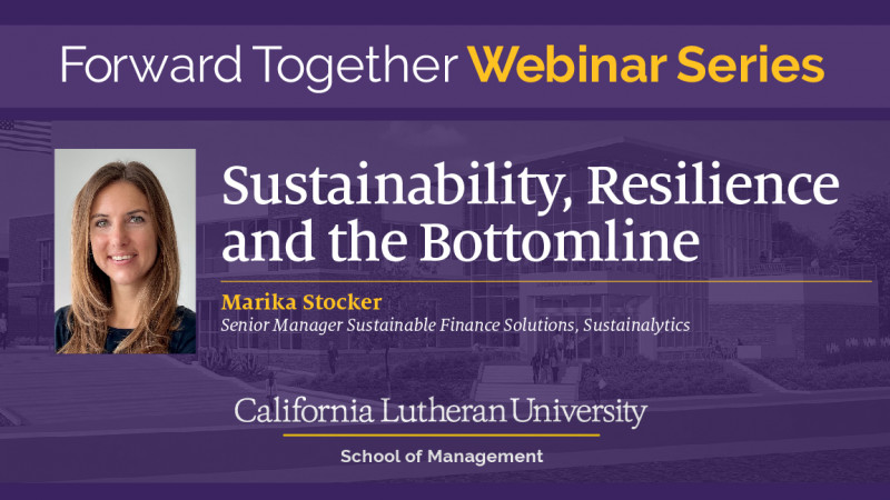 Sustainability, Resilience and the Bottomline