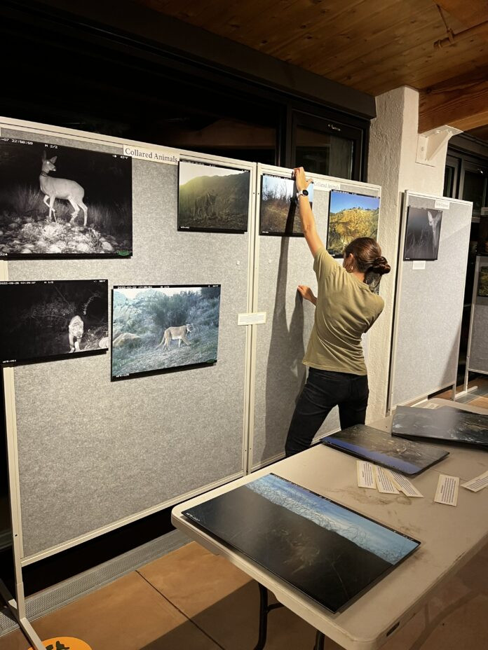 Wildlife after the Woolsey Fire: Research Images (Free lecture)