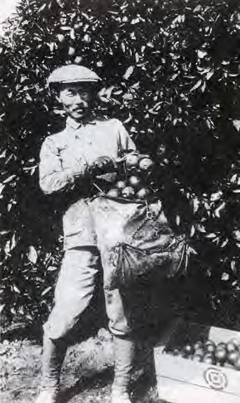 “Pachappa Camp: The First Koreatown in the United States”