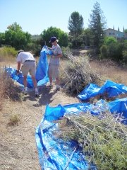 Spring Service Day