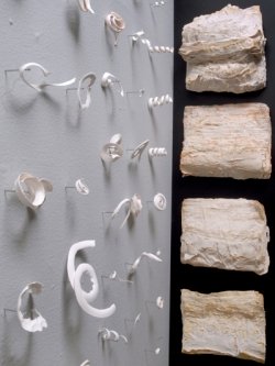 Exhibit: 'Exquisite Play' by Janet Neuwalder
