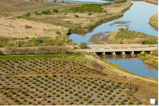 MPPA Policy Talks Series