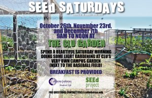 SEEd Saturday