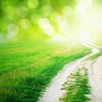 Pathways & Possibilities: How to Succeed IRL