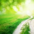 Pathways & Possibilities: How to Succeed IRL