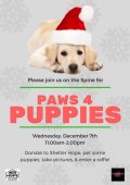 Paws 4 Puppies