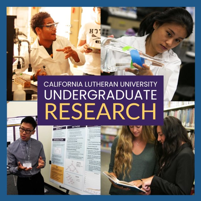 Undergraduate Research Programs: Resiliency and Support Discussion