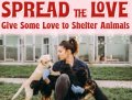 Animal Shelter Volunteer Event