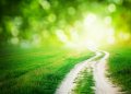 Paths to Professionalism