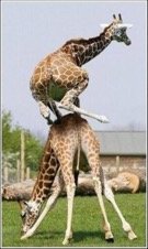 Math Seminar with Dr. Alissa Crans