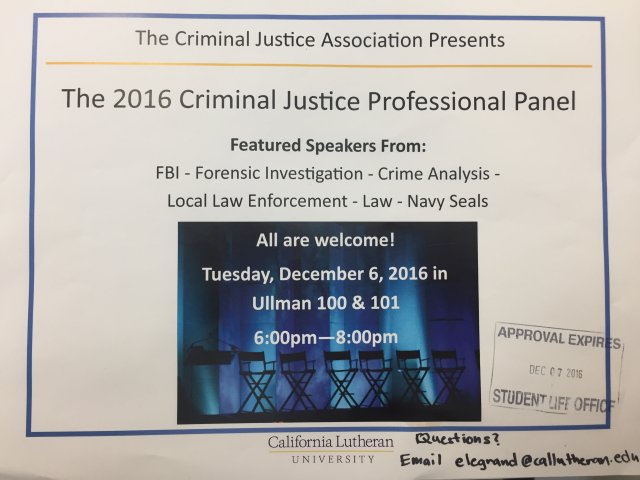 Criminal Justice Professional Panel