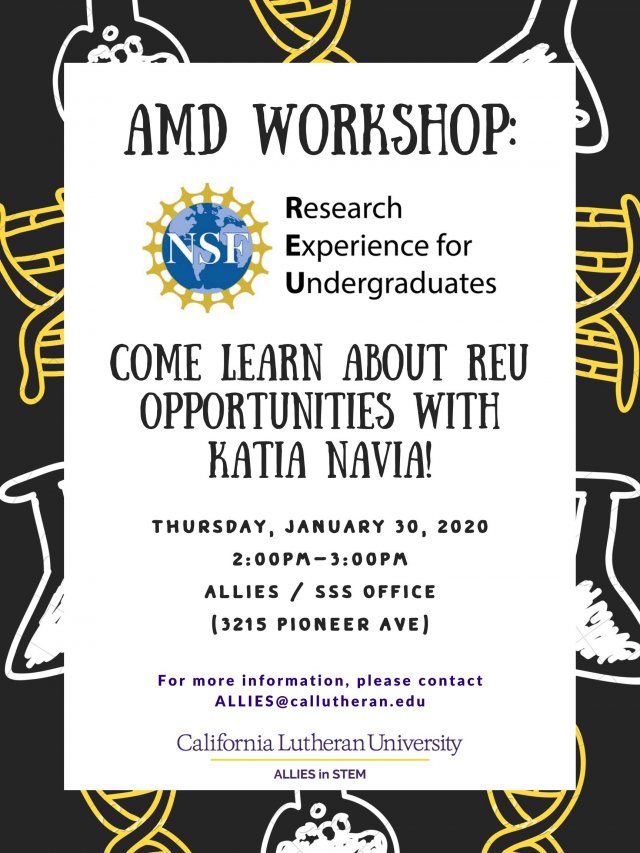 AMD Workshop for research experience for Undergraduate students