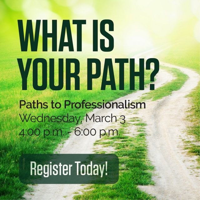 Paths to Professionalism