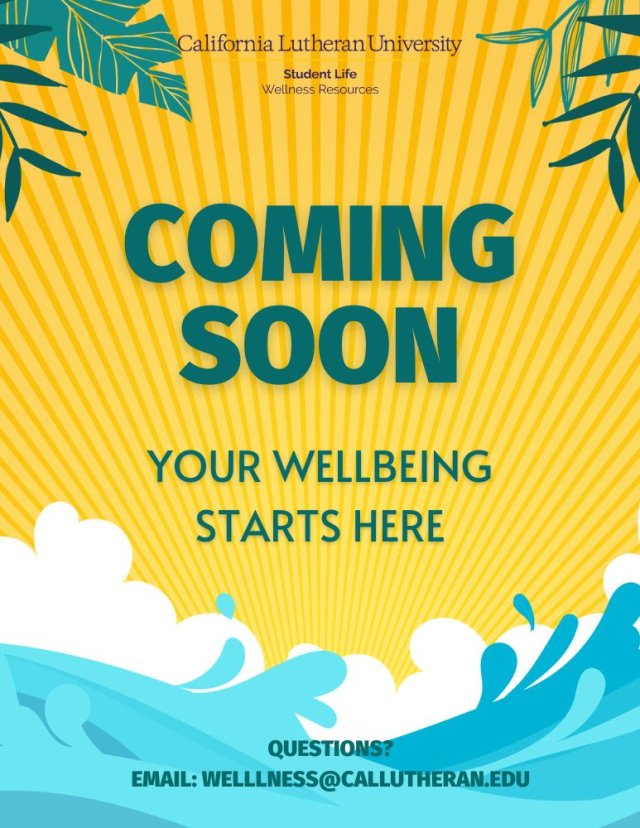 Horseback Riding Excursion