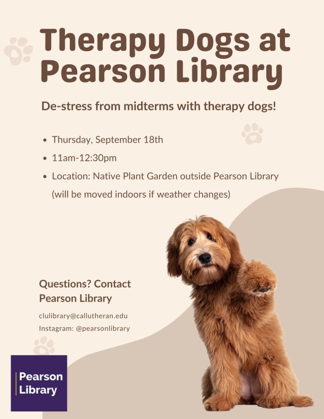 Therapy Dogs