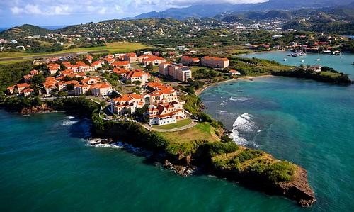 AUC School of Medicine Info Session