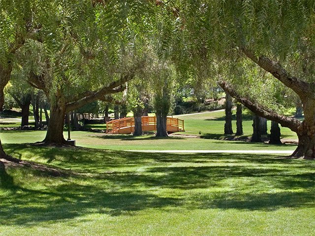 Pilates in the Park