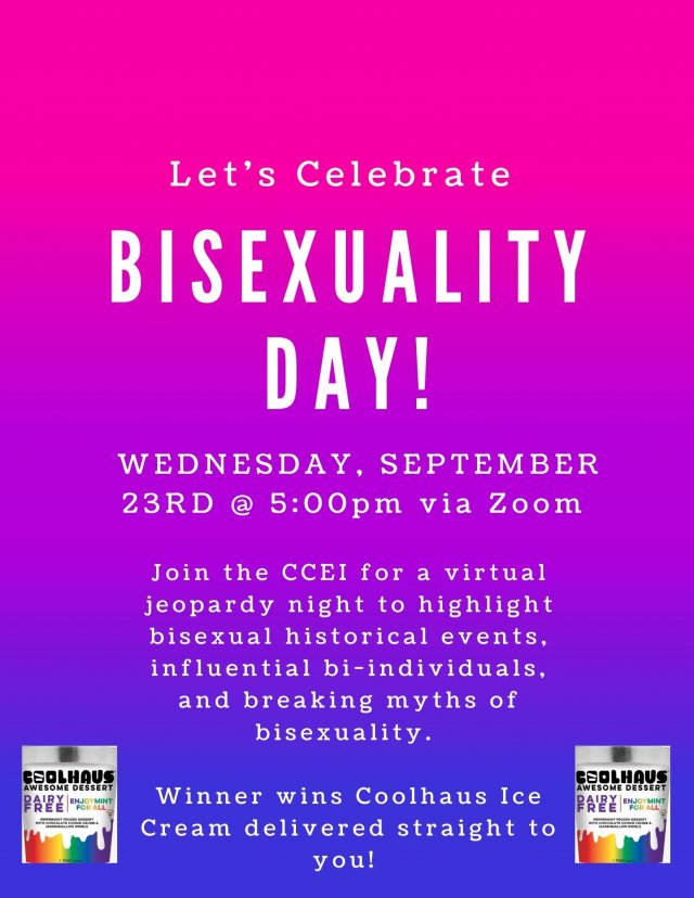 Bisexuality Day