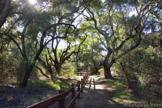 Outdoor Hike