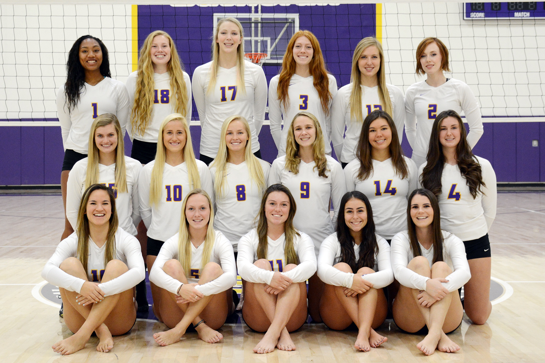 Regals Volleyball Earns Sixth Straight Avca Academic Team Honor California Lutheran University